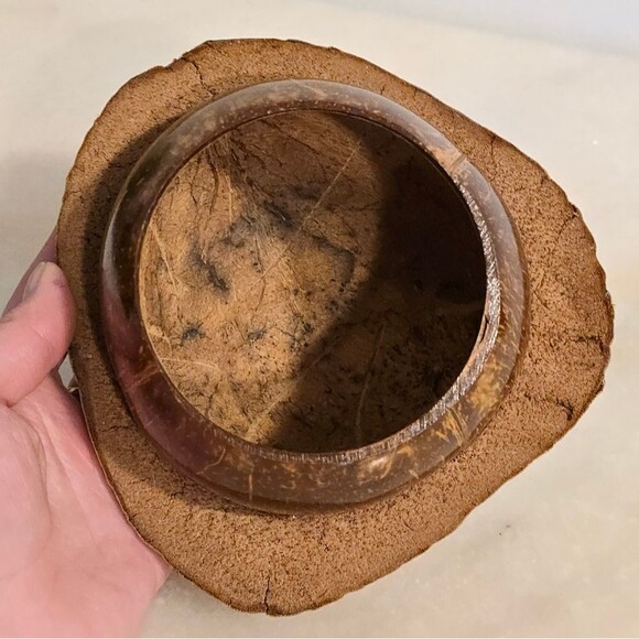 Coconut Shell Pot Planter for Orchid Flowers Cactus African Pot Handcrafted - Picture 5 of 7